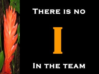 There is no I In the team 