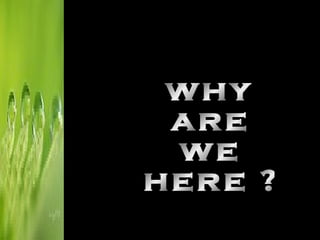why are we here ? 