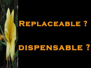 Replaceable ? dispensable ? 