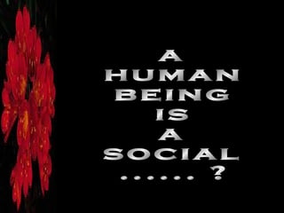 a human being is a social ...... ? 