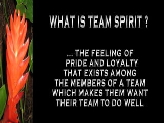 ... THE FEELING OF PRIDE AND LOYALTY THAT EXISTS AMONG THE MEMBERS OF A TEAM WHICH MAKES THEM WANT THEIR TEAM TO DO WELL WHAT IS TEAM SPIRIT ? 