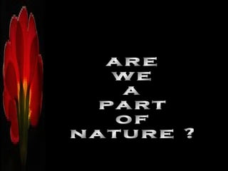 are we a part of nature ? 