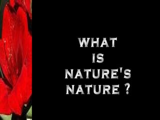 what is nature's nature ? 