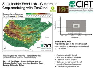 Sustainable Food Lab - Guatemala Crop modeling with EcoCrop We analyzed the following 14 crops for Sololá (Information provided by ADAM, Fernando Colojun) Broccoli, Cauliflower, Onions, Cabbage, Carrots, Potatoes, Apple, French bean, Pea, Zucchini, Bean, Banana, Miltomate, Coffee ,[object Object],[object Object],[object Object],[object Object],[object Object],[object Object],[object Object],[object Object]