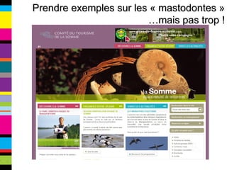 Prendre exemples sur les « mastodontes » …mais pas trop ! 