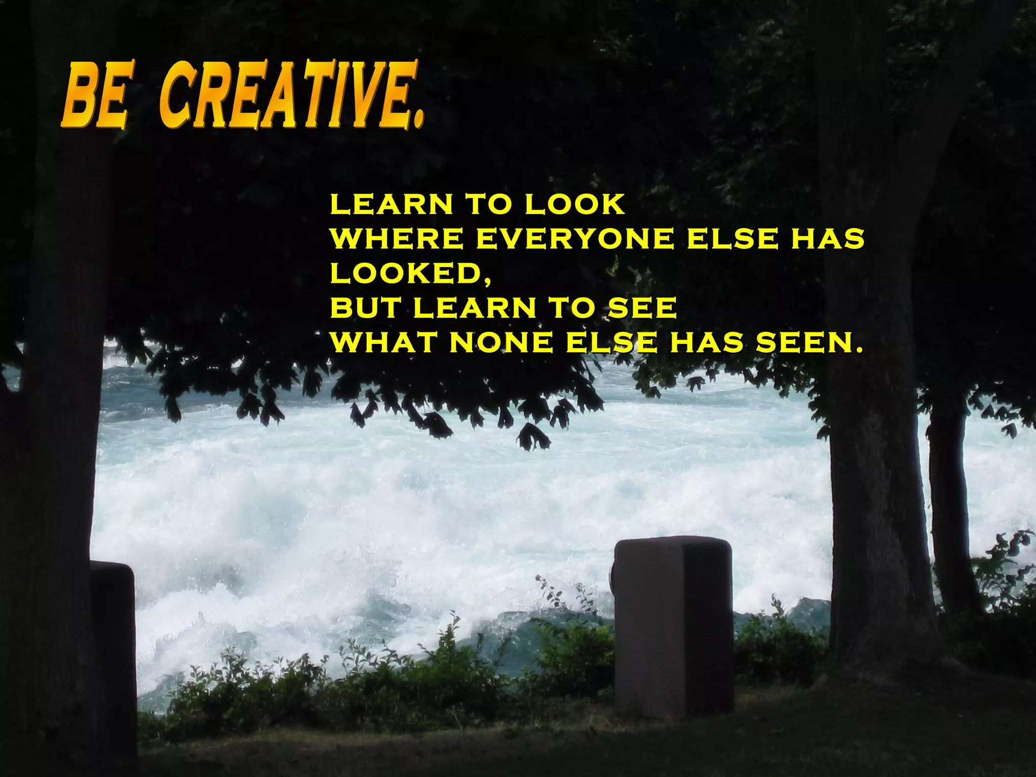 LEARN TO LOOK WHERE EVERYONE ELSE HAS LOOKED, BUT LEARN TO SEE  WHAT NONE ELSE HAS SEEN. BE  CREATIVE. 