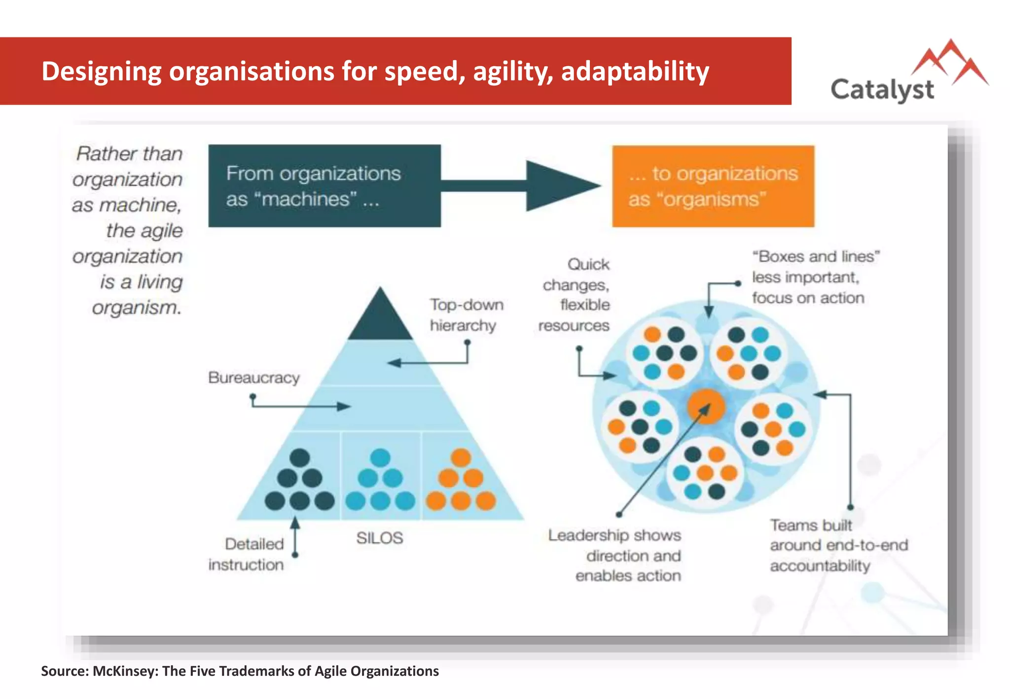 Designing organisations for speed, agility, adaptability
Source: McKinsey: The Five Trademarks of Agile Organizations
 
