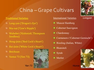 Traditional Varieties
Long-yan (‘Dragon’s Eye’)
Niu-nai (‘Cow’s Nipple’)
Wuhebei (‘Kishmish’, Thompson
Seedless)
Hong-jixin (‘Red Cock’s Heart’)
Bai-jixin (‘White Cock’s Heart’)
Beichuan
Yantai 73 (Yan 73)
International Varieties
 Muscat Hamburg
 Cabernet Sauvignon
 Chardonnay
 Carmenere (‘Cabernet Gernischt’)
 Riesling (Italian, White)
 Rkatsiteli
 Syrah
 Merlot
Yan 73 Niunai
Longyan
 