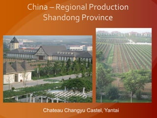 Chateau Changyu Castel, Yantai
 