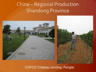 COFCO Chateau Junding, Penglai
 