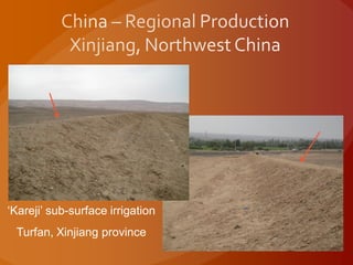 ‘Kareji’ sub-surface irrigation
Turfan, Xinjiang province
 