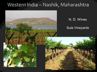 N. D. Wines
Sula Vineyards
 
