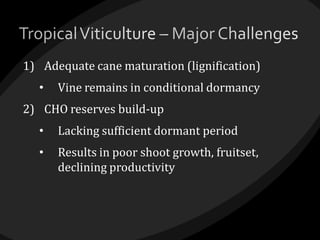 1) Adequate cane maturation (lignification)
• Vine remains in conditional dormancy
2) CHO reserves build-up
• Lacking sufficient dormant period
• Results in poor shoot growth, fruitset,
declining productivity
 