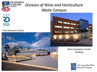 Division of Wine and Horticulture
Waite Campus
Wine Innovation Cluster
Building
Plant Research Center
 