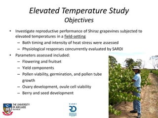 Elevated Temperature Study
Objectives
• Investigate reproductive performance of Shiraz grapevines subjected to
elevated temperatures in a field-setting
– Both timing and intensity of heat stress were assessed
– Physiological responses concurrently evaluated by SARDI
• Parameters assessed included:
– Flowering and fruitset
– Yield components
– Pollen viability, germination, and pollen tube
growth
– Ovary development, ovule cell viability
– Berry and seed development
 