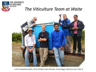 The Viticulture Team at Waite
L to R: Cassandra Collins, Chris Penfold, Luke Johnston, Vinay Pagay, Catherine Cox, Tintu B.
 