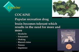 CocaineCocaine
COCAINECOCAINE
Popular recreation drugPopular recreation drug
brain becomes tolerant whichbrain becomes tolerant which
results in the need for more andresults in the need for more and
moremore
– HeadacheHeadache
– ExhaustionExhaustion
– ShakingShaking
– Blurred visionBlurred vision
– NauseaNausea
– ImpotenceImpotence
 