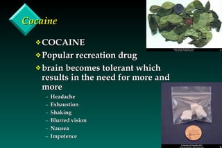 Cocaine COCAINE Popular recreation drug brain becomes tolerant which results in the need for more and more Headache Exhaustion Shaking Blurred vision Nausea Impotence 