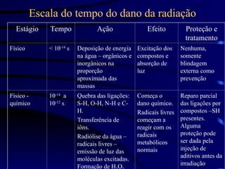 Escala do tempo do dano da radiação
Estágio Tempo Ação Efeito Proteção e
tratamento
Físico < 10-14
s Deposição de energia
na água – orgânicos e
inorgânicos na
proporção
aproximada das
massas
Excitação dos
compostos e
absorção de
luz
Nenhuma,
somente
blindagem
externa como
prevenção
Físico -
químico
10-14
a
10-12
s
Quebra das ligações:
S-H, O-H, N-H e C-
H.
Transferência de
iôns.
Radiólise da água –
radicais livres –
emissão de luz das
moléculas excitadas.
Formação de H O
Começa o
dano químico.
Radicais livres
começam a
reagir com os
radicais
metabólicos
normais
Reparo parcial
das ligações por
compostos –SH
presentes.
Alguma
proteção pode
ser dada pela
injeção de
aditivos antes da
irradiação
 