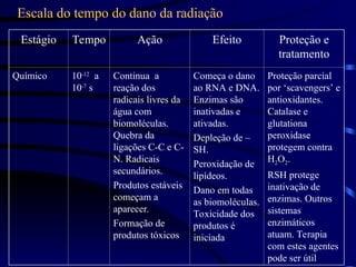Escala do tempo do dano da radiação
Estágio Tempo Ação Efeito Proteção e
tratamento
Químico 10-12
a
10-7
s
Continua a
reação dos
radicais livres da
água com
biomoléculas.
Quebra da
ligações C-C e C-
N. Radicais
secundários.
Produtos estáveis
começam a
aparecer.
Formação de
produtos tóxicos
Começa o dano
ao RNA e DNA.
Enzimas são
inativadas e
ativadas.
Depleção de –
SH.
Peroxidação de
lipídeos.
Dano em todas
as biomoléculas.
Toxicidade dos
produtos é
iniciada
Proteção parcial
por ‘scavengers’ e
antioxidantes.
Catalase e
glutationa
peroxidase
protegem contra
H2O2.
RSH protege
inativação de
enzimas. Outros
sistemas
enzimáticos
atuam. Terapia
com estes agentes
pode ser útil
 