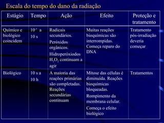 Escala do tempo do dano da radiação
Químico e
biológico
coincidem
10-7
a
10 s
Radicais
secundários.
Peróxidos
orgânicos.
Hidroperóxiodos
H2O2 continuam a
agir
Muitas reações
bioquímicas são
interrompidas.
Começa reparo do
DNA
Tratamento
pós-irradiação
deveria
começar
Biológico 10 s a
10 h
A maioria das
reações primárias
são completadas.
Reações
secundárias
continuam
Mitose das células é
diminuída. Reações
bioquímicas
bloqueadas.
Rompimento da
membrana celular.
Começa o efeito
biológico
Tratamentos
Estágio Tempo Ação Efeito Proteção e
tratamento
 