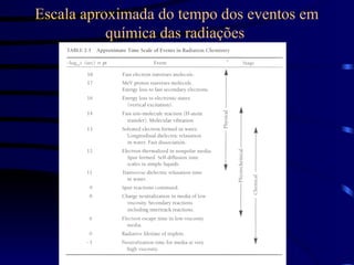 Escala aproximada do tempo dos eventos em
química das radiações
 
