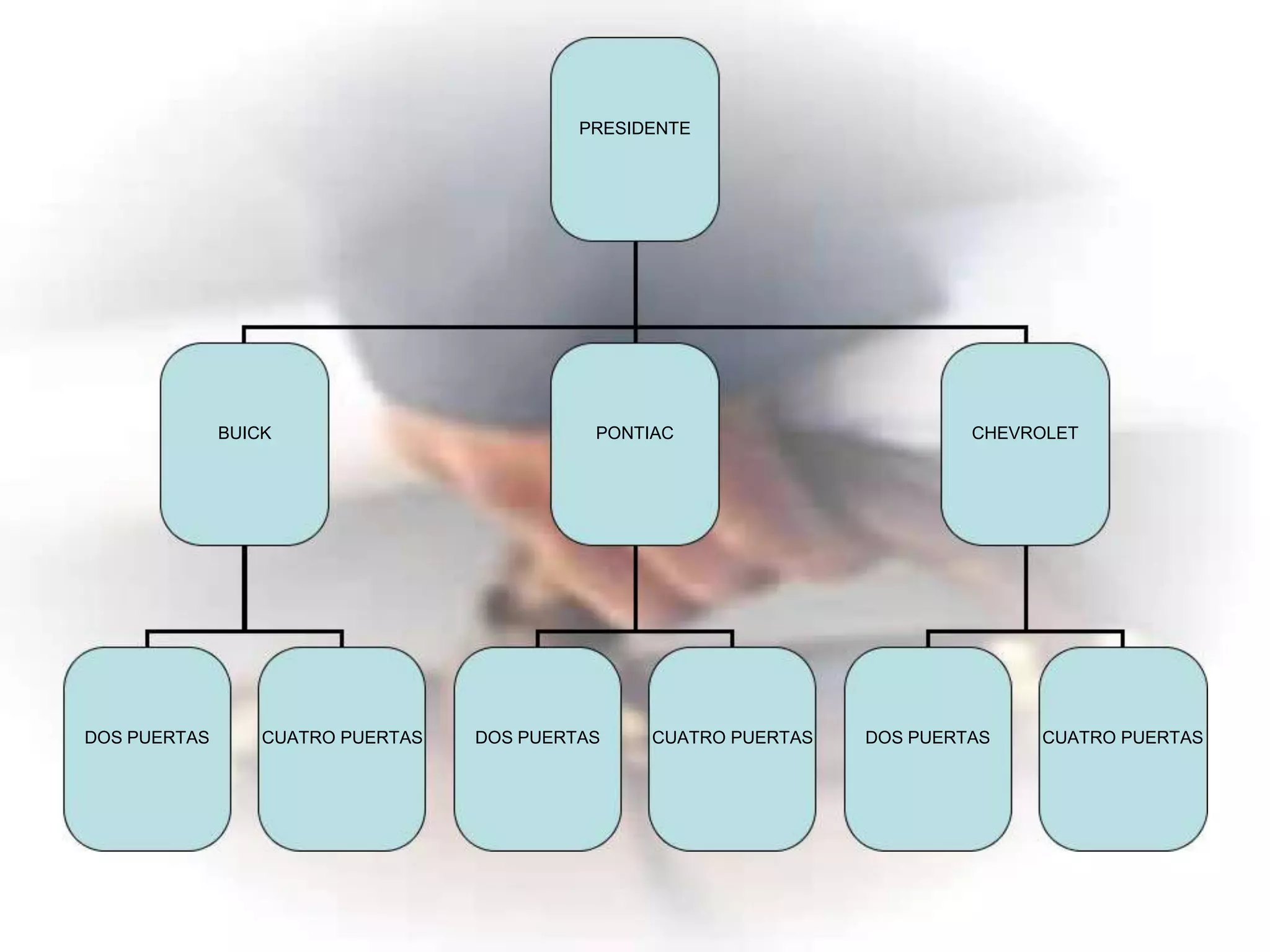 PRESIDENTE




              BUICK                          PONTIAC                        CHEVROLET




DOS PUERTAS       CUATRO PUERTAS   DOS PUERTAS    CUATRO PUERTAS   DOS PUERTAS   CUATRO PUERTAS
 