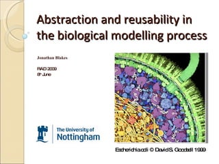 Abstraction and reusability in the biological modelling process Jonathan Blakes RAD 2009 8 th  June Escherichia coli © David S. Goodsell 1999 