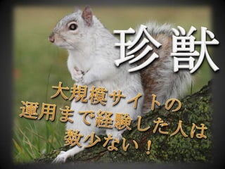 珍獣大規模サイトの運用まで経験した人は数少ない！