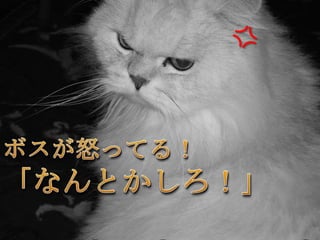 ボスが怒ってる！「なんとかしろ！」 