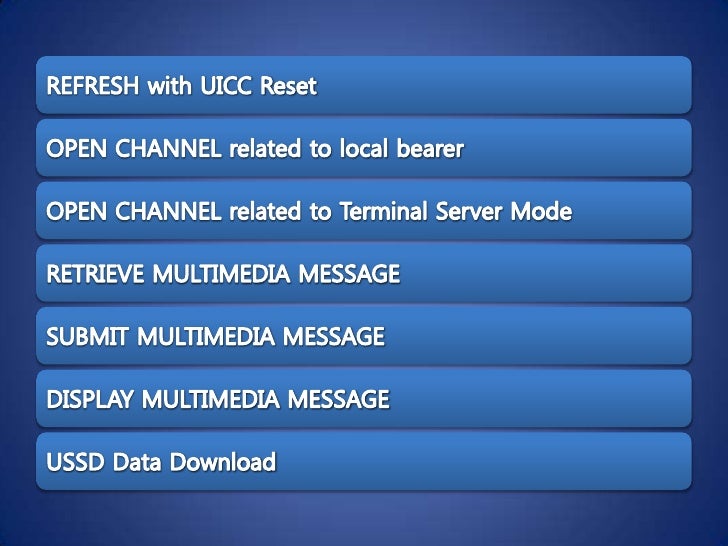 USAT USIM Application Toolkit
