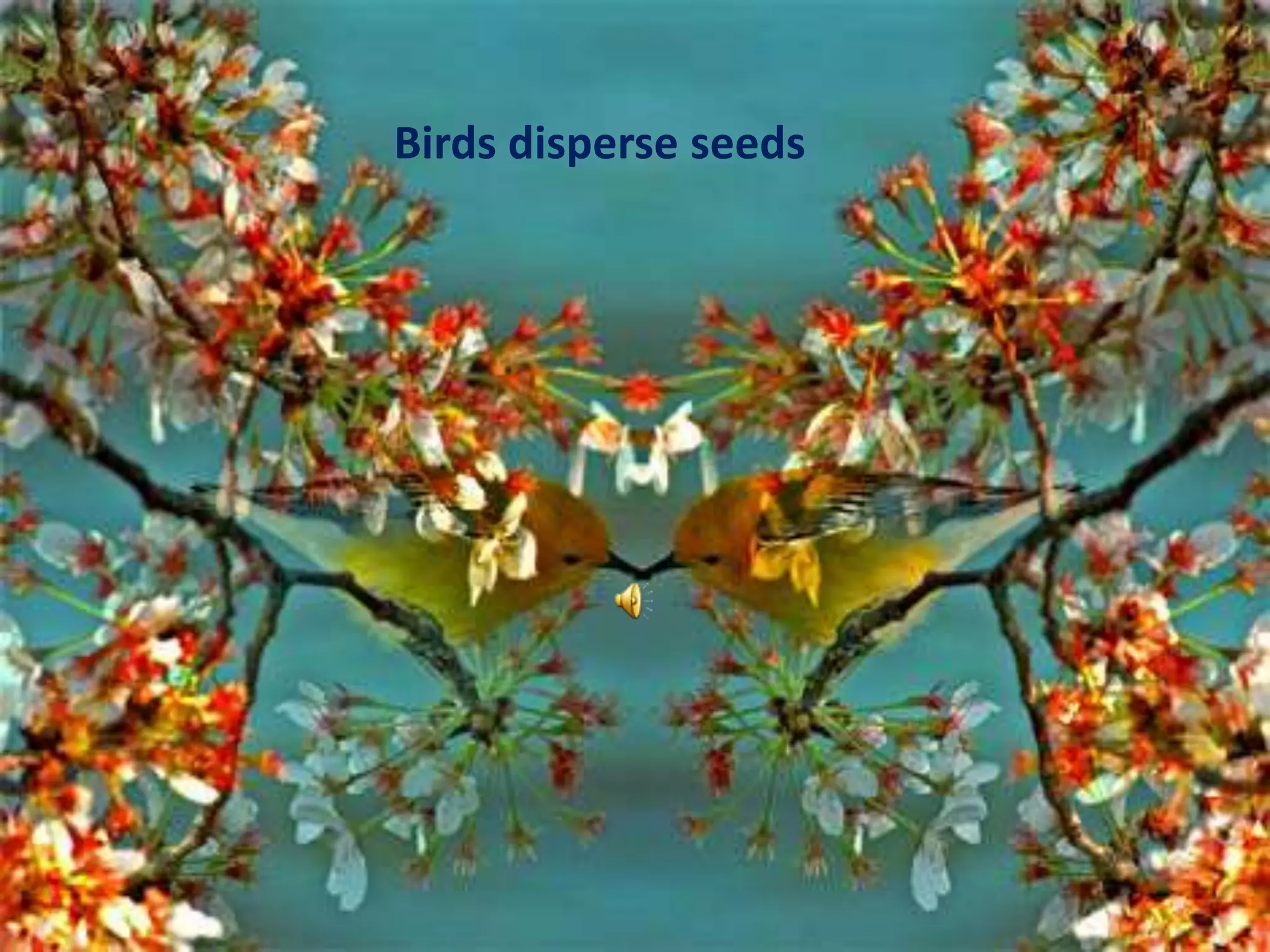 Birds disperse seeds