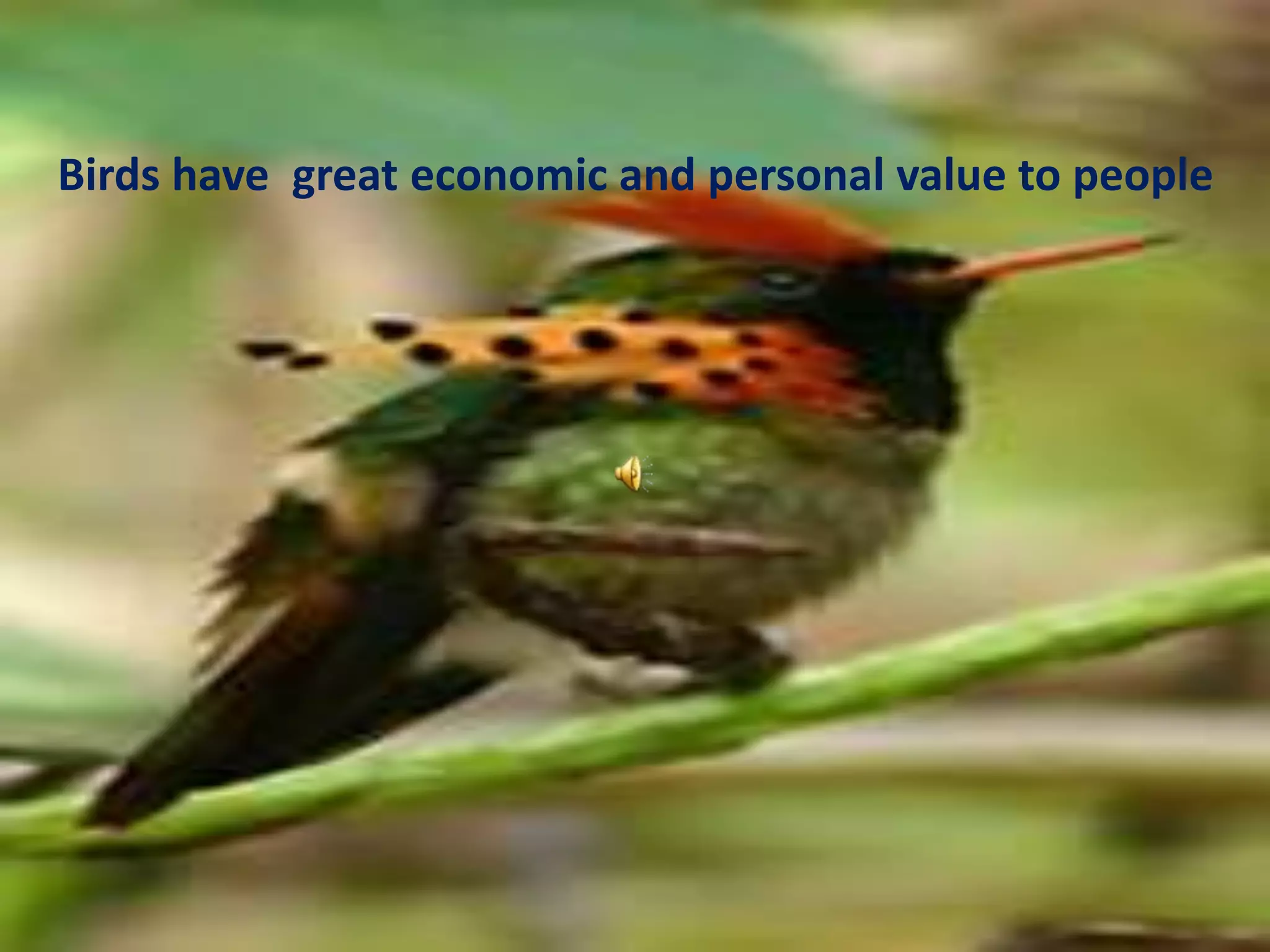 Birds have  great economic and personal value to people