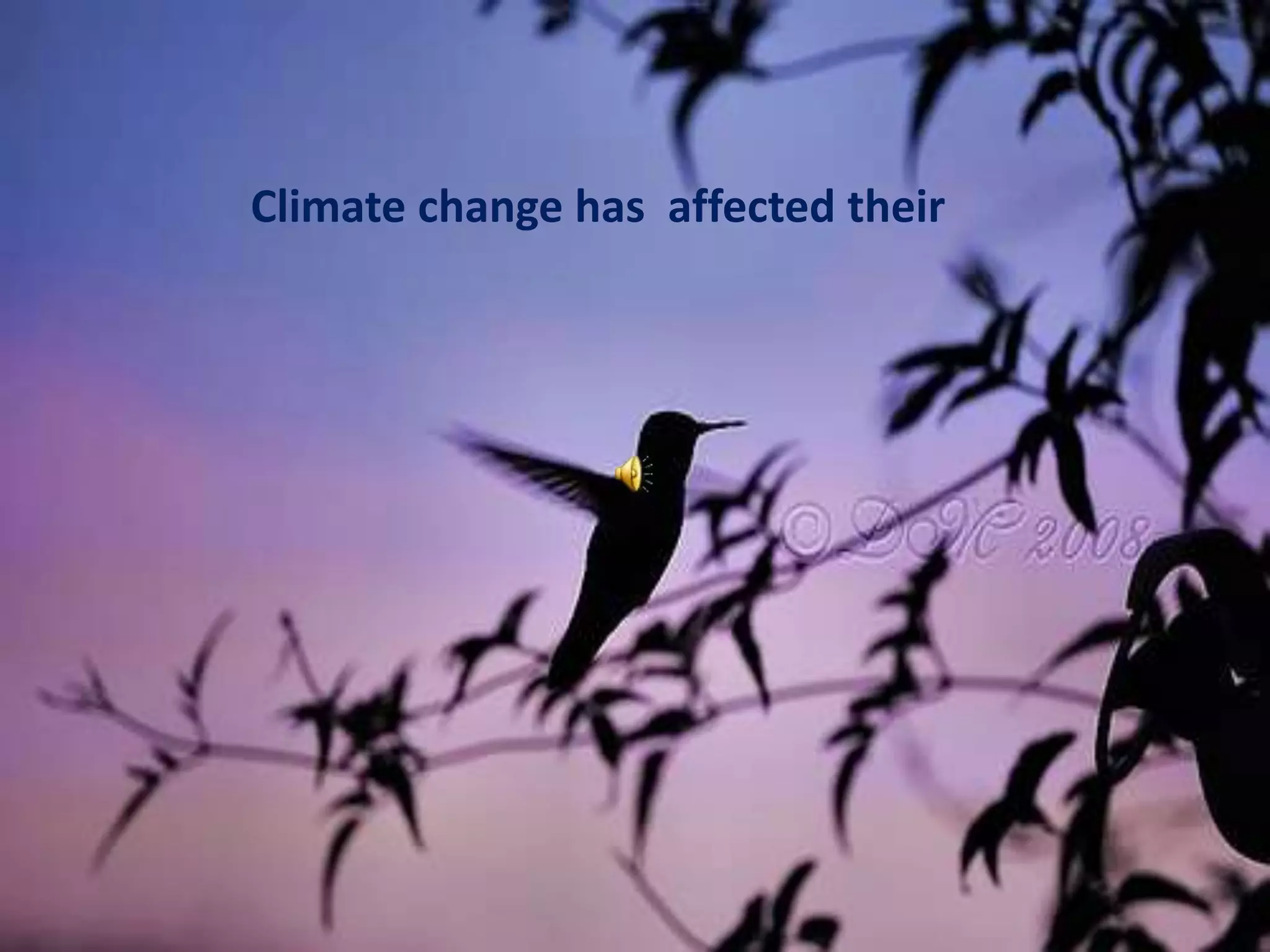 Climate change has  affected their