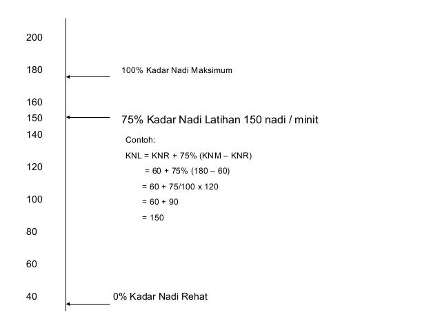 Mengira Kadar Nadi Latihan