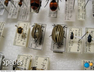 Species
   ﬂickr: cpurrin1

Saturday, September 12, 2009
 