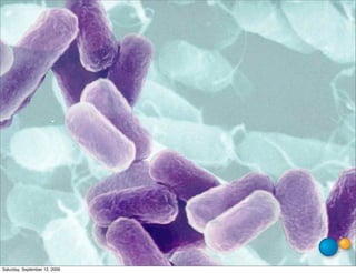 Saturday, September 12, 2009
 