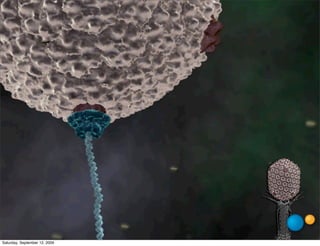 Saturday, September 12, 2009
 