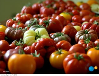 ﬂickr: chiotsrun

Saturday, September 12, 2009
 