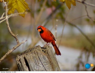 ﬂickr: goellnitz

Saturday, September 12, 2009
 