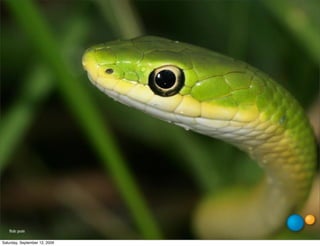 ﬂickr: goellnitz
          pcoin

Saturday, September 12, 2009
 