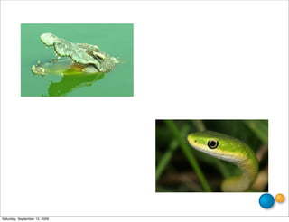 Saturday, September 12, 2009
 