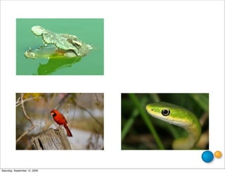 Saturday, September 12, 2009
 