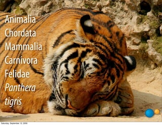 Animalia
    Chordata
    Mammalia
    Carnivora
    Felidae
    Panthera
    tigris
 ﬂickr: pandiyan


Saturday, September 12, 2009
 