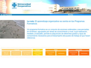 Plan de acogida Herramientas  corporativas Conocimiento de negocio Formación inicial Puesto trabajo Troncal Inicial Conocimiento técnico Base Habilidades Conocimiento técnico Avanzado Habilidades 6. Los Procesos Niveles La ruta:  El aprendizaje organizativo se centra en los Programas Formativos Un programa formativo es un conjunto de acciones ordenadas y secuenciadas en el tiempo, agrupadas por áreas de conocimiento y nivel, cuya realización, medible y evaluable, permite la adquisición de diferentes grados y tipos de conocimiento necesarios para el desempeño del puesto de trabajo al que hacen referencia. 