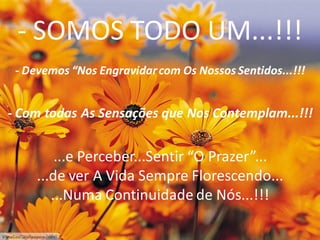 - SOMOS TODO UM...!!!
- Devemos “Nos Engravidar com Os Nossos Sentidos...!!!

- Com todas As Sensações que Nos Contemplam...!!!

...e Perceber...Sentir “O Prazer”...
...de ver A Vida Sempre Florescendo...
...Numa Continuidade de Nós...!!!

 