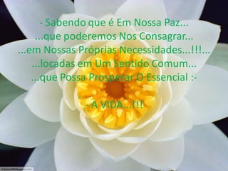 - Sabendo que é Em Nossa Paz...
...que poderemos Nos Consagrar...
...em Nossas Próprias Necessidades...!!!...
...locadas em Um Sentido Comum...
...que Possa Prosperar O Essencial :- A VIDA...!!!

 