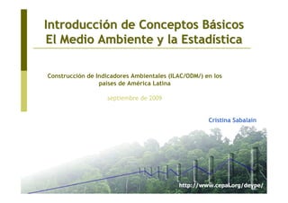 IntroducciIntroduccióón de Conceptos Bn de Conceptos Báásicossicos
El Medio Ambiente y la EstadEl Medio Ambiente y la Estadíísticastica
Construcción de Indicadores Ambientales (ILAC/ODM/) en los
países de América Latina
septiembre de 2009
Cristina Sabalain
http://www.cepal.org/deype/
 
