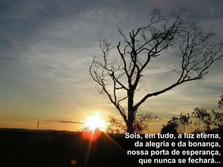 Sois, em tudo, a luz eterna, da alegria e da bonança, nossa porta de esperança, que nunca se fechará... 