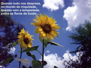 Quando tudo nos despreza, no mundo da iniquidade, quando vem a tempestade, sobre as flores da ilusão... 